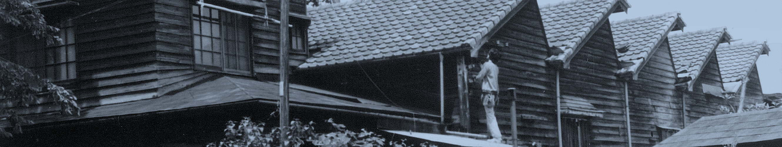 HISTORY 背景画像