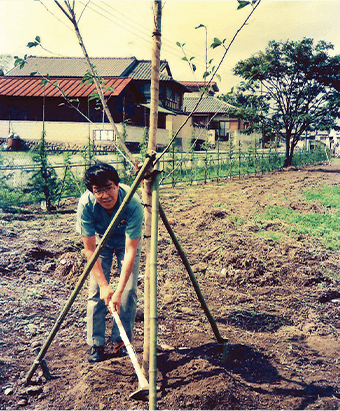 創立45周年記念  ヒマラヤスギを45本植樹